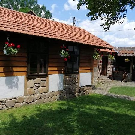Etno Kuca Nikolov Villa Dimitrovgrad Exterior foto
