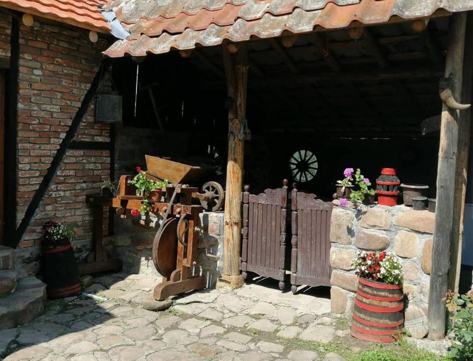 Etno Kuca Nikolov Villa Dimitrovgrad Exterior foto