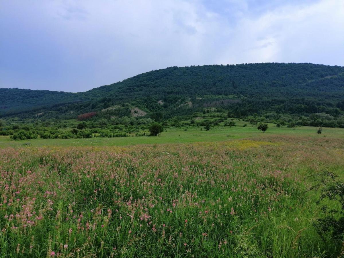 Etno Kuca Nikolov Villa Dimitrovgrad Exterior foto