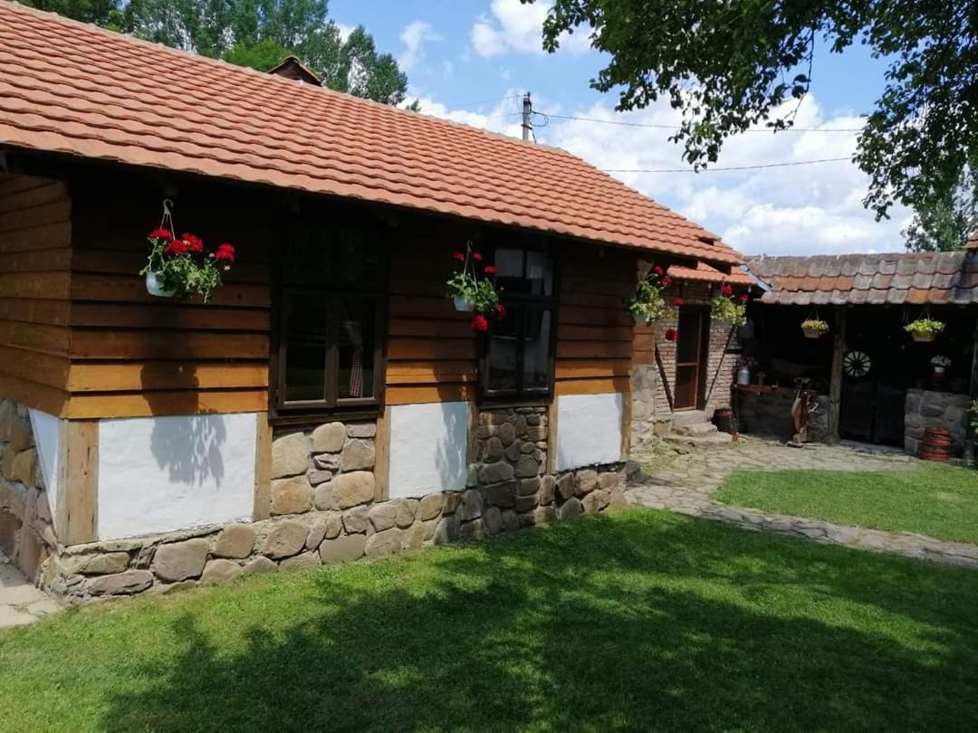 Etno Kuca Nikolov Villa Dimitrovgrad Exterior foto